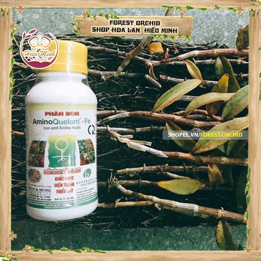 Amino Quelant Fe Phân bón Sắt là thuốc, Hoa Lan loại TỐT, làm cho cây cảnh và hạt giống, Bền, Đẹp, Xanh