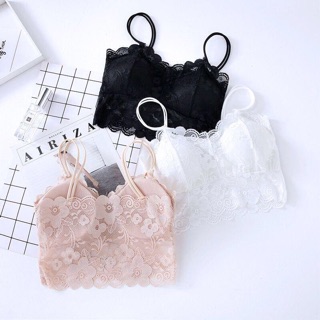 Áo Bra Ren Bigsize (XL-3XL) - 3 Màu Lựa Chọn