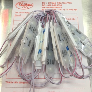 Led hắt 3 bóng ss mắt lồi GOQ -(50bóng/1 dây)