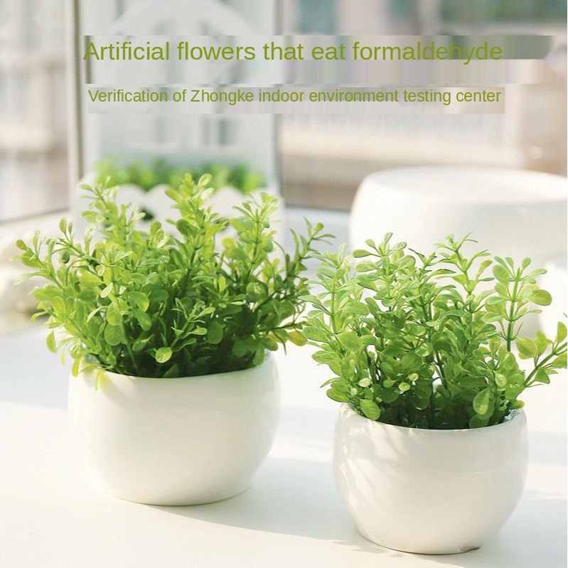 Chậu Cây Lô Hội Giả Dùng Trang Trí Nhà Cửa DIY