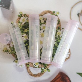Vỏ son dưỡng mini 15
