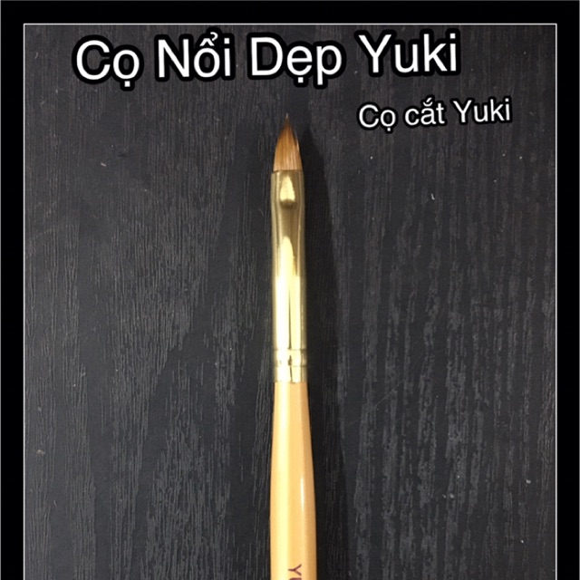 Cọ Dẹp Yuki