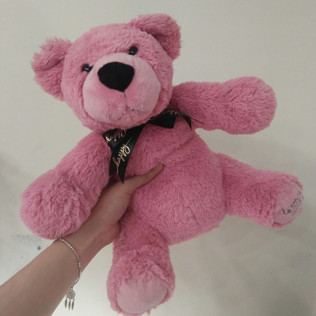 Gấu bông Teddy đồng giá 99k 11 mẫu Teddy kích thước từ 40-60cm NEOCI