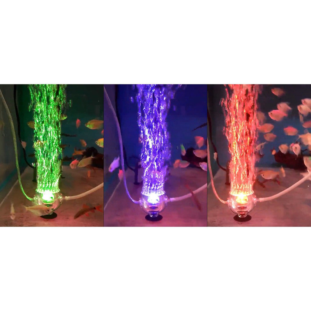 Đèn led đổi màu gắn sủi khí hãng Led mini lamp C dành cho hồ nhỏ hoặc bể thủy sinh