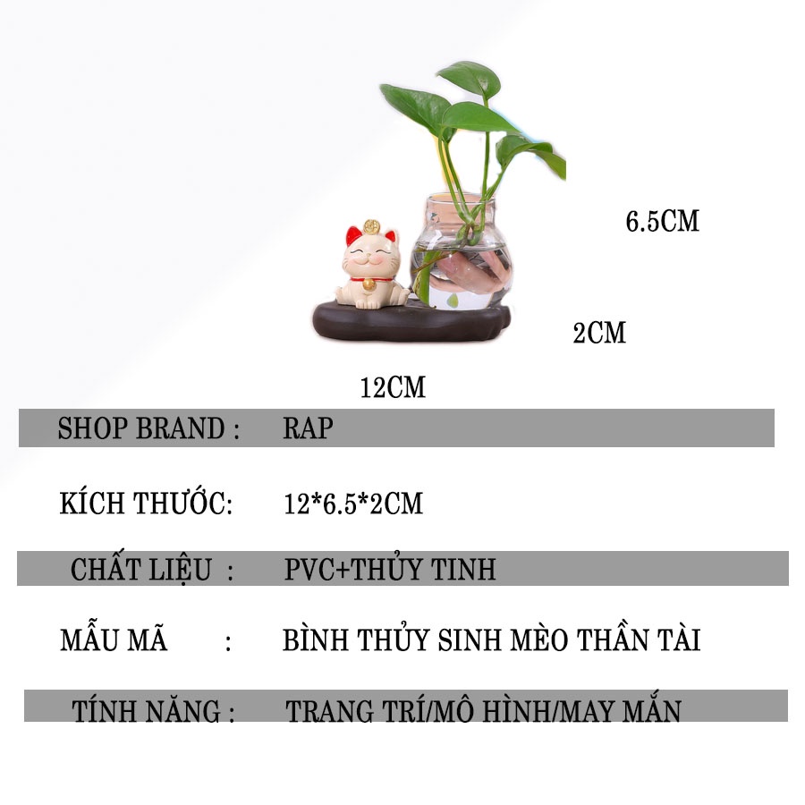 Bình thủy sinh mô hình mèo thần tài Ráp đầy đủ kiểu dáng trang trí bàn học, bàn làm việc,may mắn quà tặng bạn bè-H018