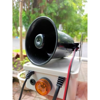 Chống trộm cây cảnh