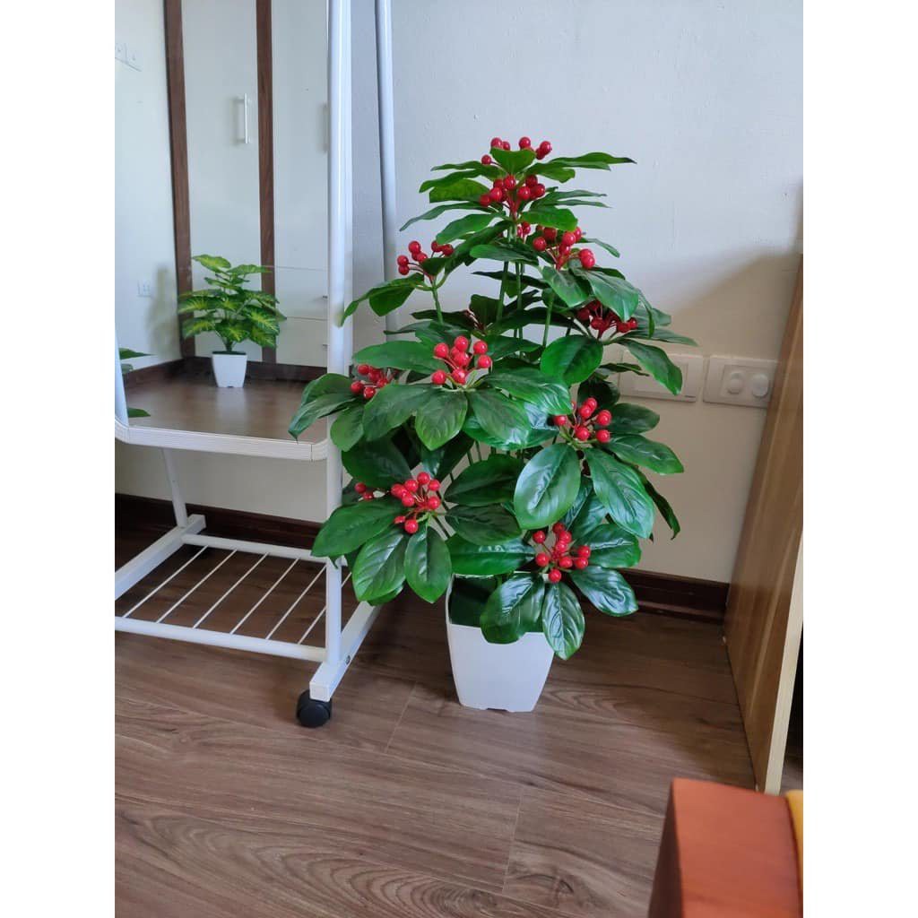 Cây Giả 🌺 Cây Kim Ngân Lượng Trứng Cá Cao 70cm