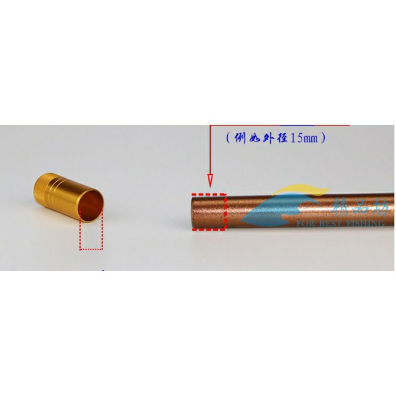 Ốc Đầu Vợt