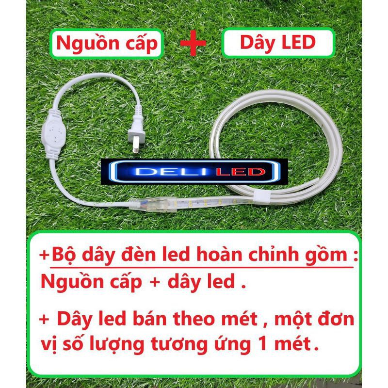 Dây Led Trang Trí Hai Hàng Nhà Hàng, Quán Cà Phê