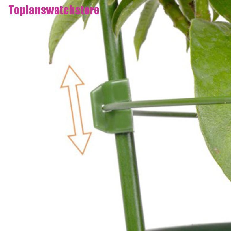 Giá Trồng Cây Dây Leo Trang Trí Sân Vườn