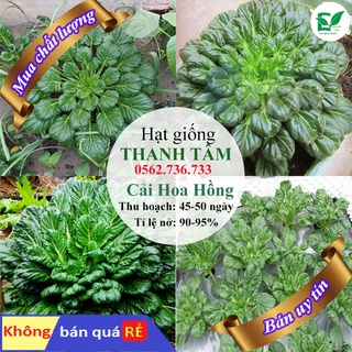 Hạt giống Cải Hoa Hồng-1g