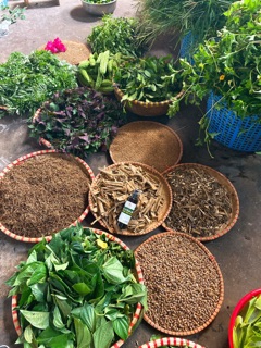 Sữa tắm bé thảo dược Handmade