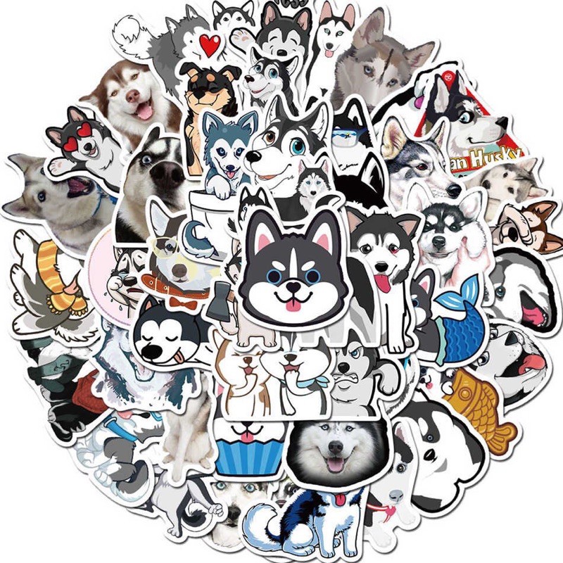 Sticker chó Husky 60 cái ép lụa khác nhau / hình dán chó Husky