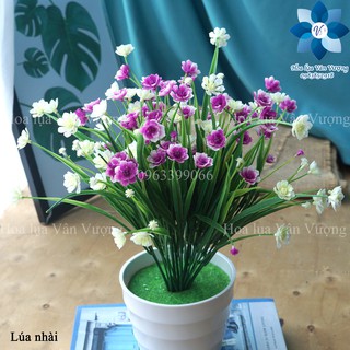 Hoa Giả Trang Trí 🌺FREESHIP🌺