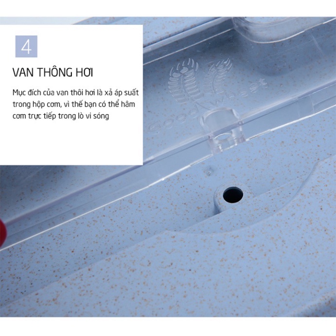 Hộp đựng cơm trưa văn phòng 3 ngăn, kèm đũa thìa, dùng cho lo vi sóng nhựa hữu cơ an toàn