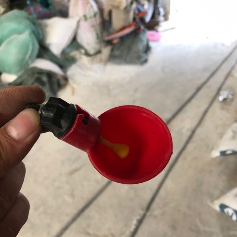 máng uống tự động cho gà vịt gân xô,ống nước