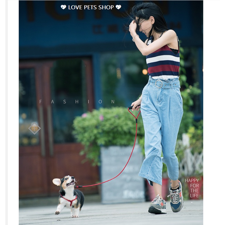 DÂY DẮT CHÓ (KHÔNG BAO GỒM YẾM, VÒNG CỔ), DÂY XÍCH CHÓ - LOVE PETS SHOP