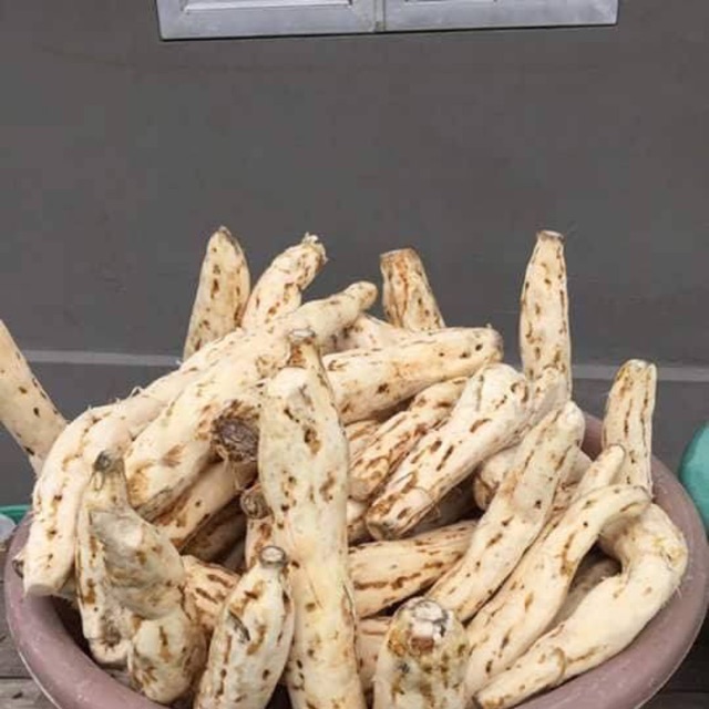 Bột sắn dây mẹ làm