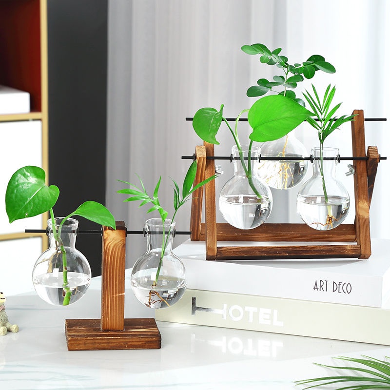 Bình Hoa Thủy Tinh Để Bàn Bằng Gỗ Sáng Tạo