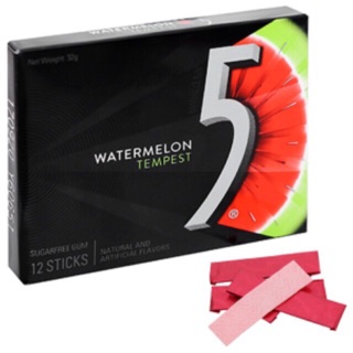 Kẹo sing gum No.5 dưa hấu và bạc hà 32g