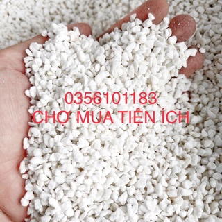 Đá Perlite trang trí trồng cây 100gr