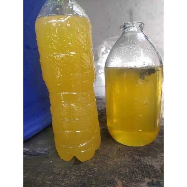 1 Lít Mật ong bạc hà thơm, đặc, nguyên chất - Tốt cho phổi