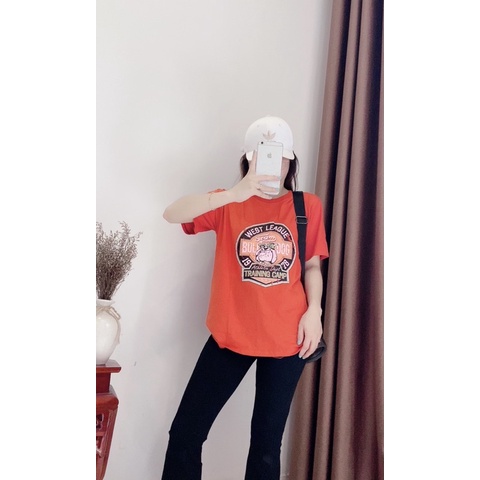 Áo thun ngắn chất Cotton in chó BULL| Hg collection