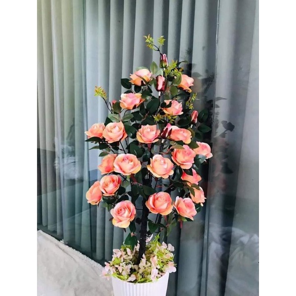 Hoa lụa - cây cảnh