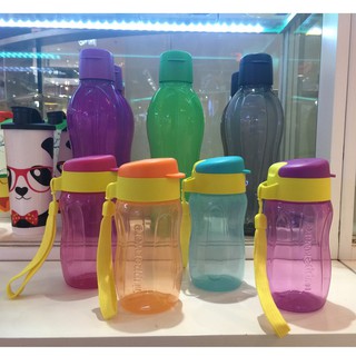 Bình Nước Eco Bottle Gen II 310ml