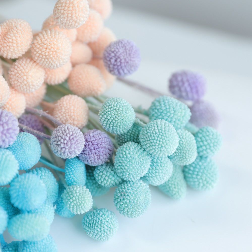 Hoa khô Billy Ball/Cúc nút áo trang trí phong cách Vintage