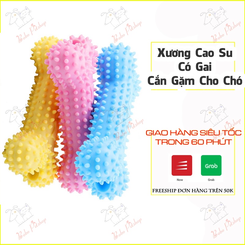 Đồ Chơi Cho Chó Thanh Xương Cao Su Cho Chó Nhỏ Tập Nhai Gặm Đỡ Ngứa Răng Nhiều Màu - Bobo Pet Shop Hà Nội