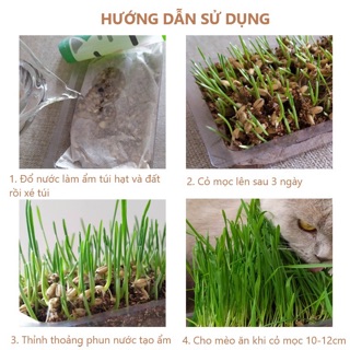 SET TRỒNG CỎ MÈO CÓ SẴN ĐẤT