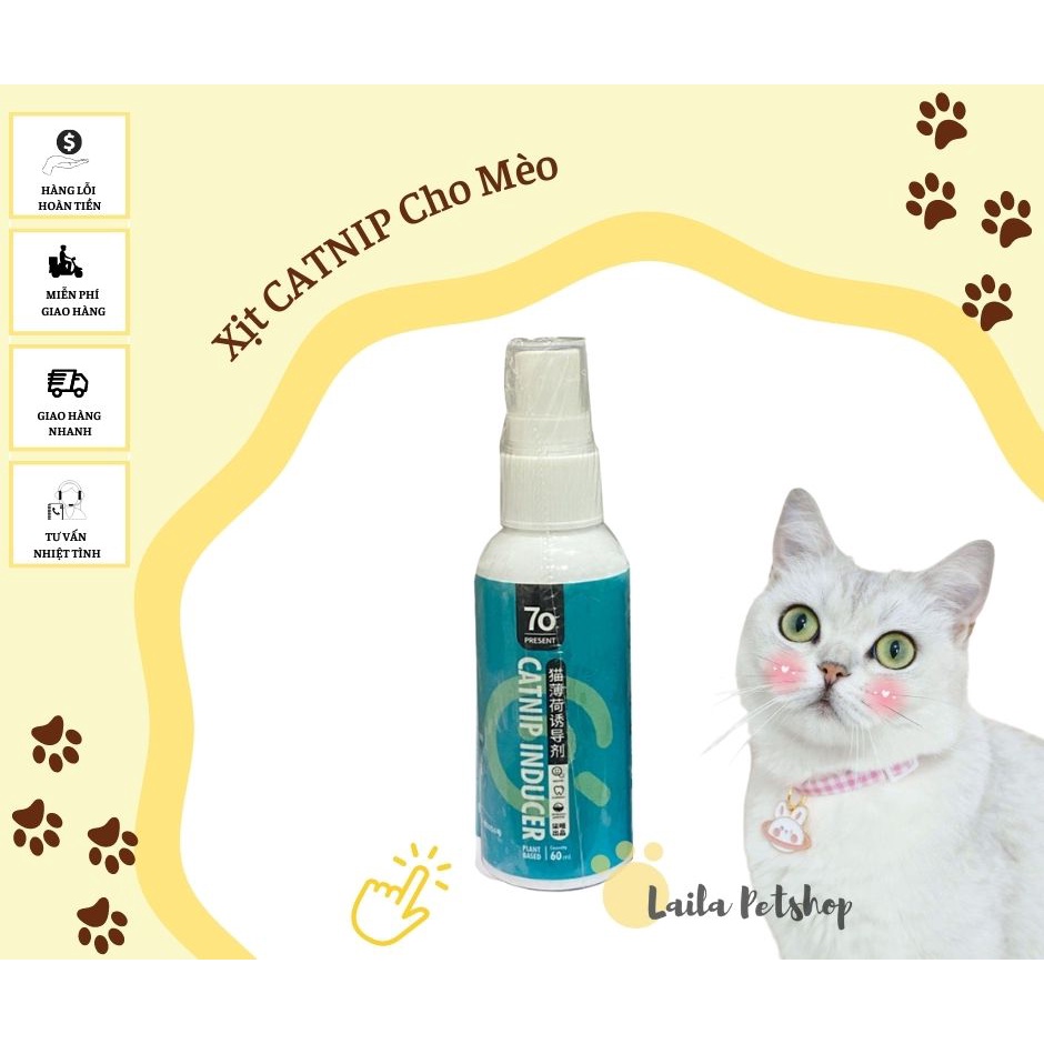 Xịt catnip cho mèo tinh chất cỏ bạc hà mèo tạo cảm giác hưng phấn đồ chơi cho mèo - 50ml - Laila Petshop