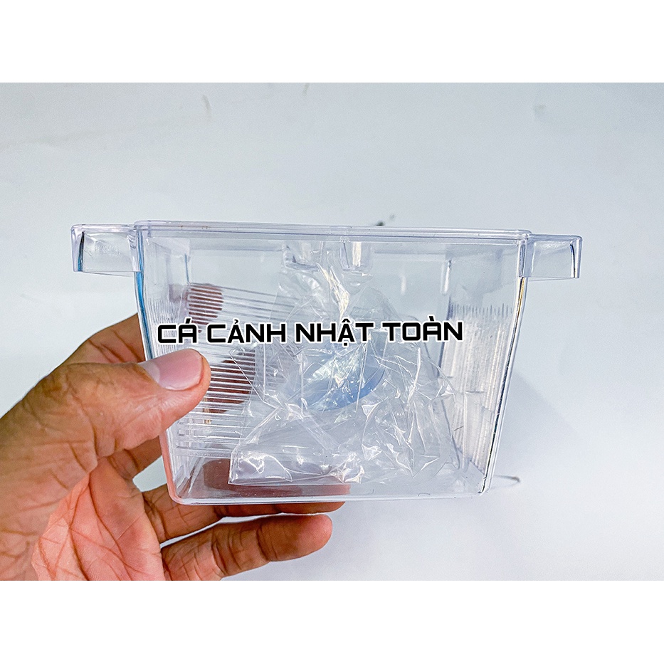 LỒNG ẤP CHO CÁ 7 MÀU DÀI 12CM RỘNG 7CM CAO 7CM