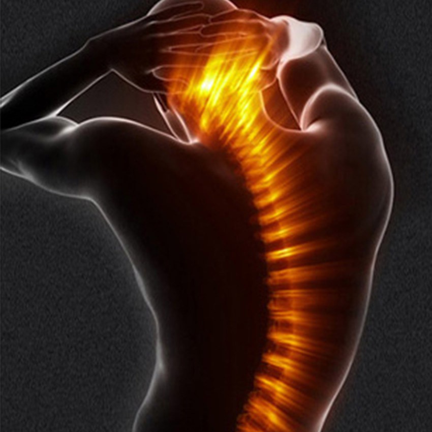 Gối Tựa Đầu / Tựa Lưng Bằng Da Thoải Mái Cho Xe Hơi Ford