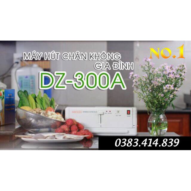 Máy hút chân không DZ 300A