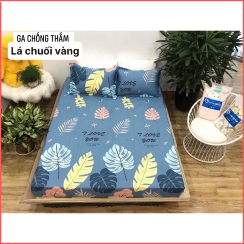 [Mã LIFE20KALL giảm 10% đơn 50K] Ga chống thấm cotton HÀN QUỐC size 2m2 - Ga chống thấm cotton Ấm Êm Decor