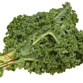 Hạt giống Cải xoăn Kale