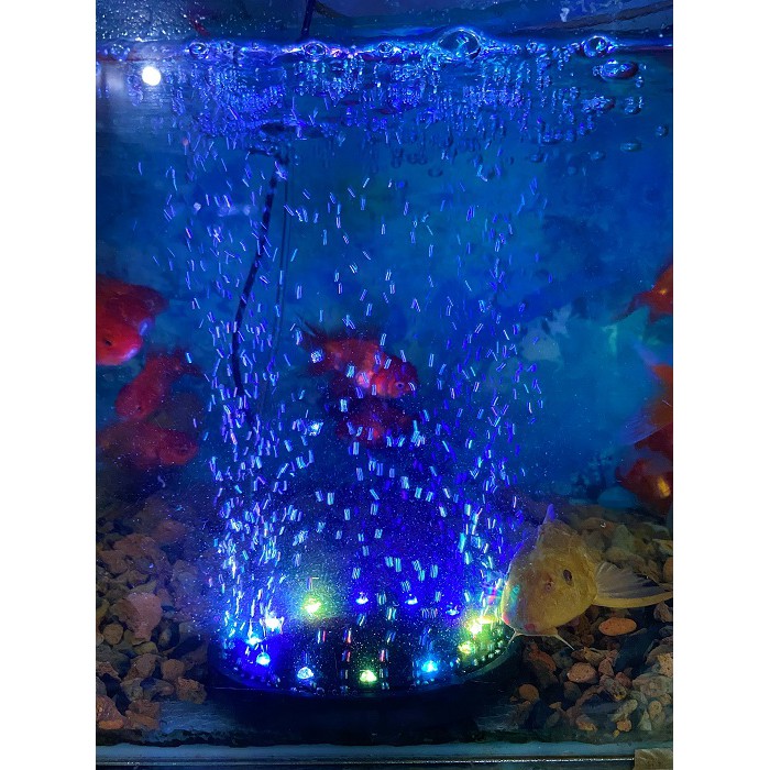 OXY LED ĐỔI MÀU TRANG TRÍ HỒ CÁ NON BỘ