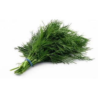 Hạt Giống Thì Là Bốn Mùa