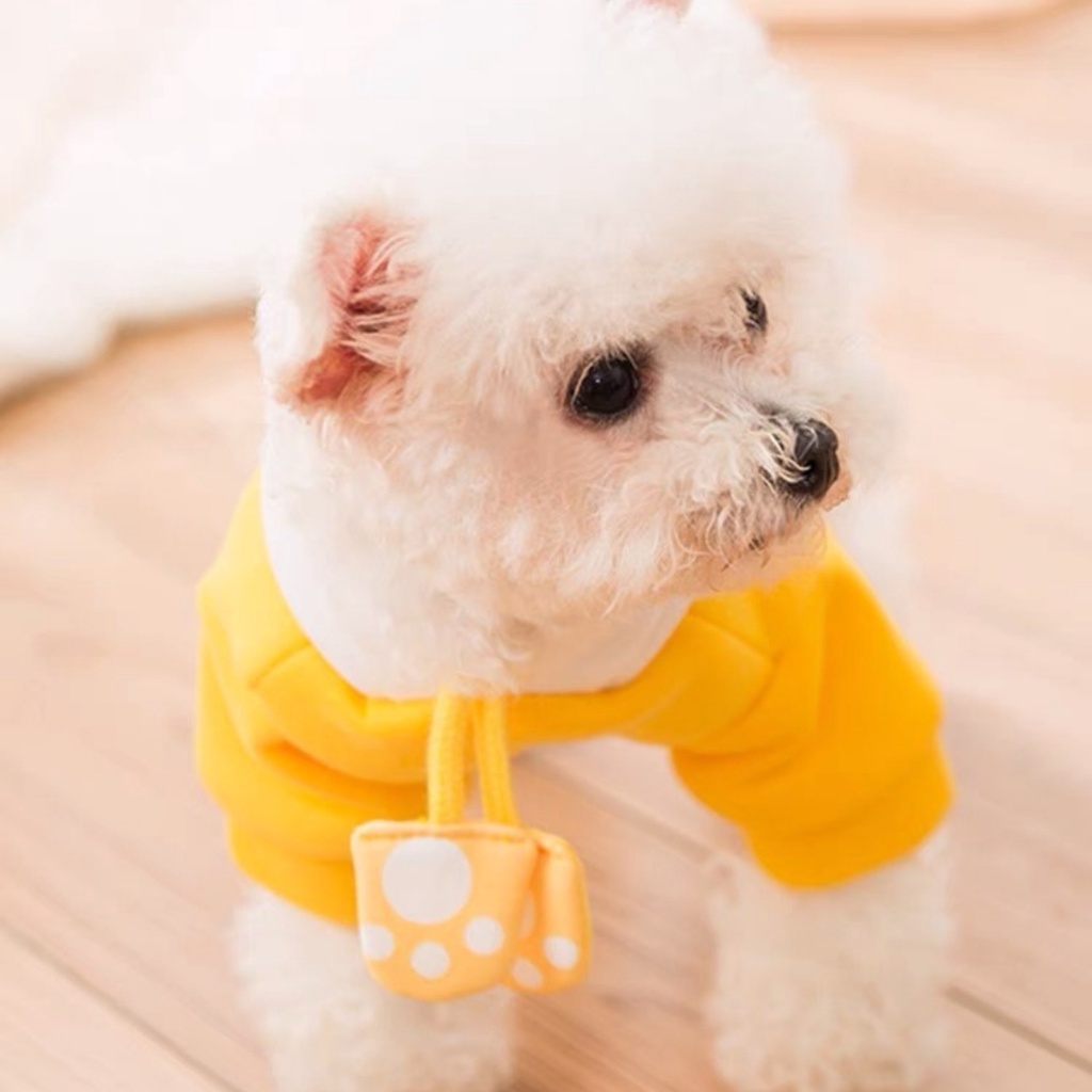 Quần áo cho chó, quần áo cho mèo, áo cho thú cưng nỉ 500 gram đến 10 kg QACM10