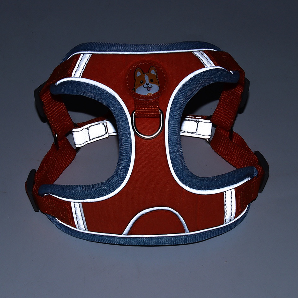 Dây dắt thú cưng đi dạo bằng nylon phản quang có thể điều chỉnh