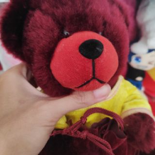 Gấu bông teddy nhung đẹp