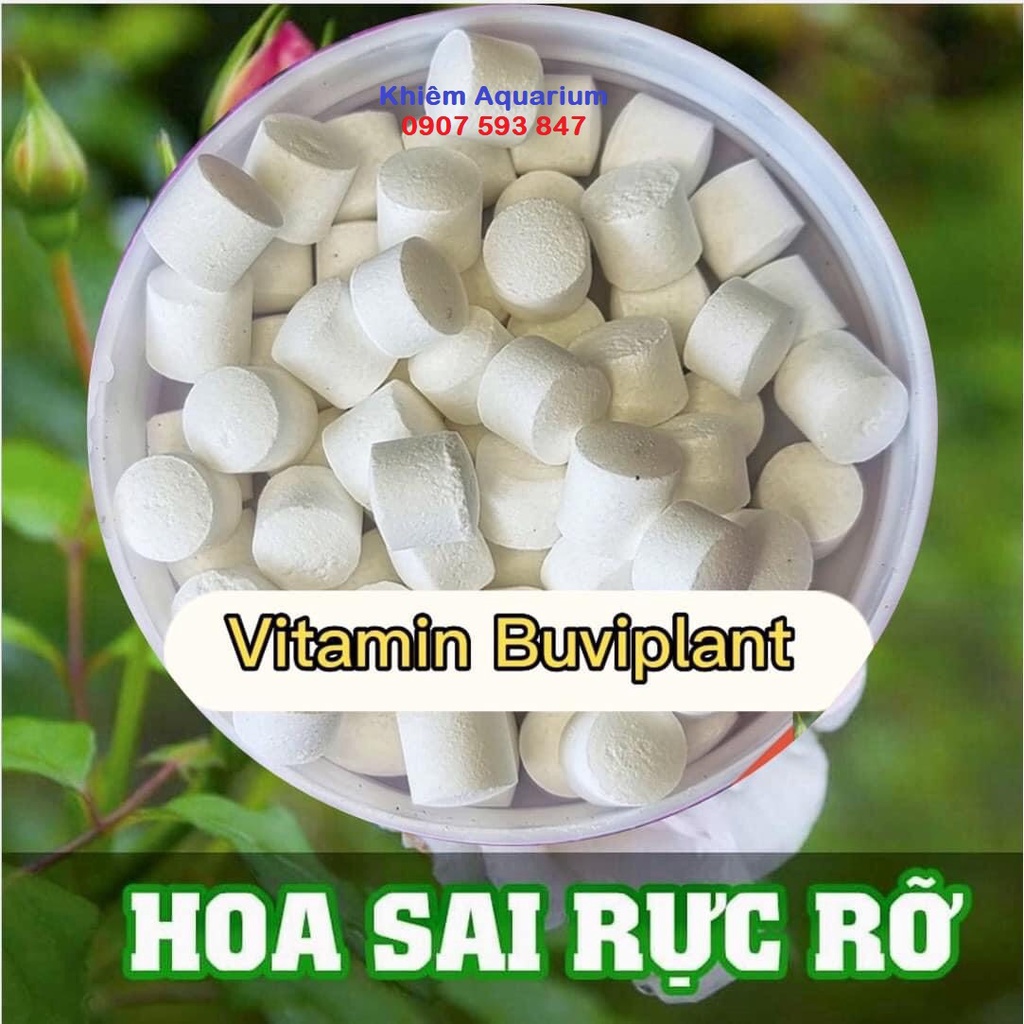 Vitamin tan chậm cho cây cảnh, không mùi, giúp cây phục hồi nhanh 100v