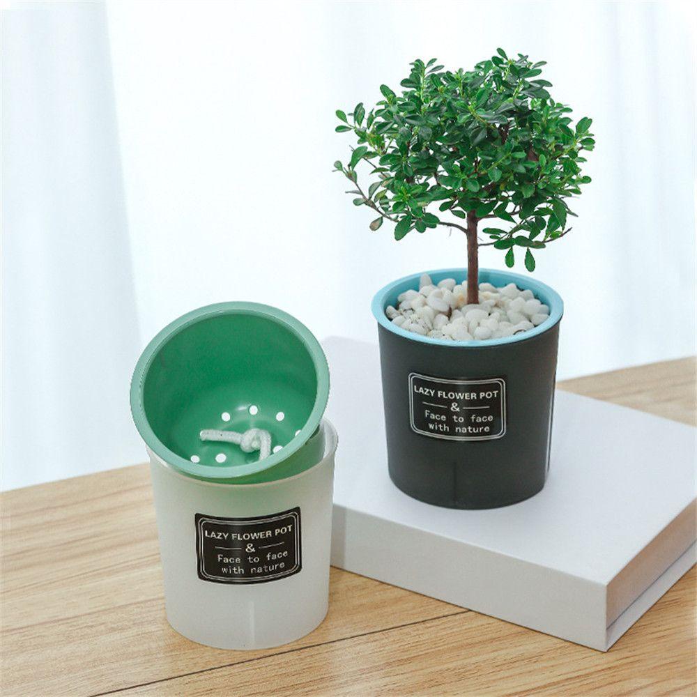 Chậu Hoa Thiết Kế Đơn Giản Sáng Tạo|Chậu Cây Bằng Nhựa Resin Màu Sắc Đẹp Mắt