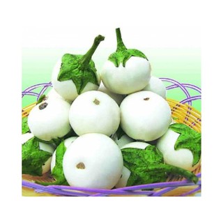 Hạt Giống Cà Pháo Trắng