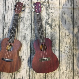 Đàn Ukulele gỗ mahogany Size concert