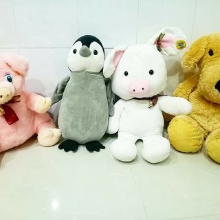 Gấu bông của nhà gấu bông