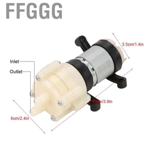 Máy Bơm Nước Mini Dc 12v
