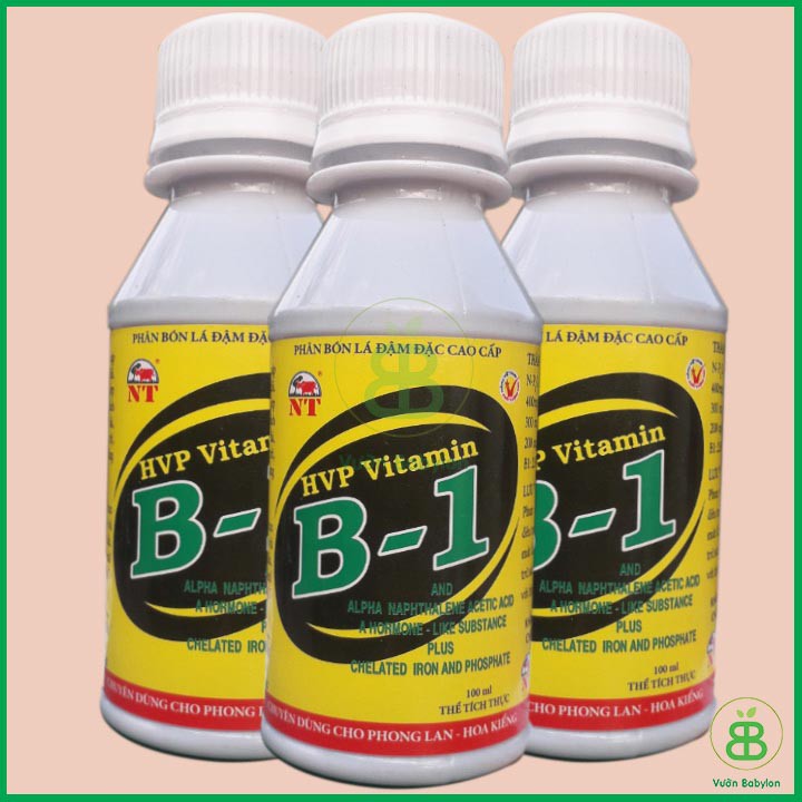 Phân Bón Lá Vitamin B1 Chuyên Cho Phong Lan 100ml